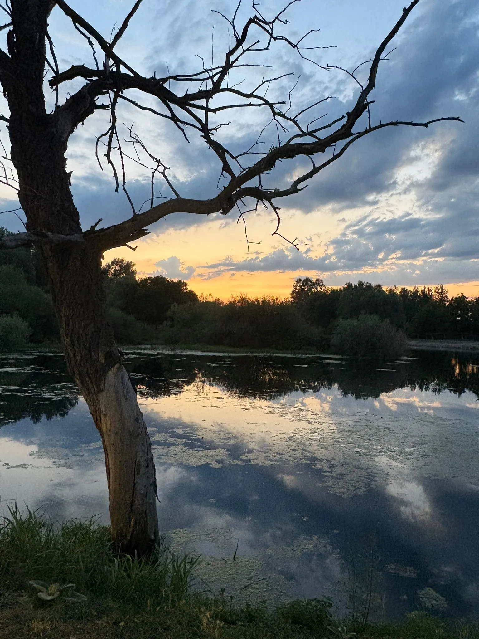 Nature