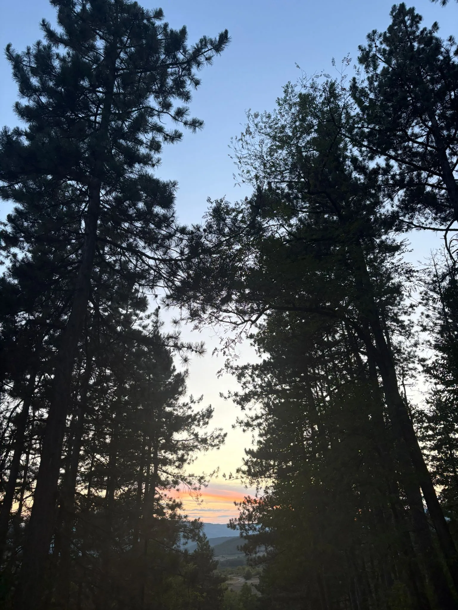 Nature